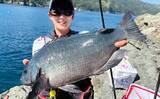 「大分県鶴見の沖磯で良型イサキが連発！　40cm後半のクロ（グレ）も登場」の画像9