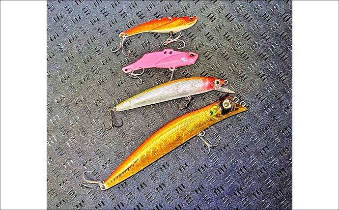 河川で70cm級シーバス2本キャッチ！【千葉】早巻きとジャーキングで悪条件を攻略
