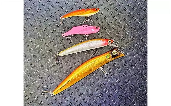 「河川で70cm級シーバス2本キャッチ！【千葉】早巻きとジャーキングで悪条件を攻略」の画像