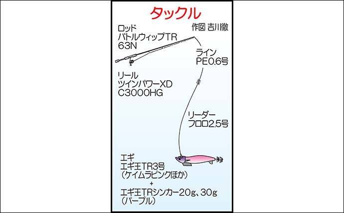ティップランエギング釣行で1kg超えアオリイカ浮上【佐賀・きずなまりん】