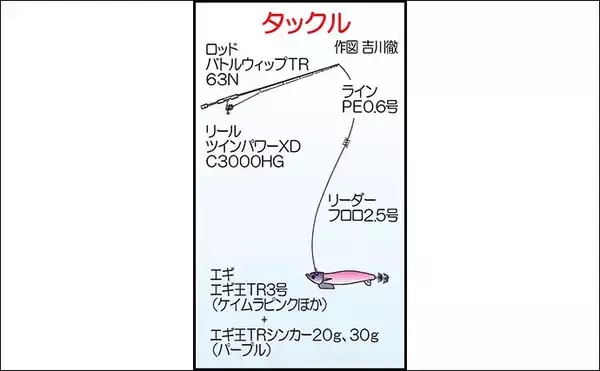 「ティップランエギング釣行で1kg超えアオリイカ浮上【佐賀・きずなまりん】」の画像