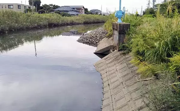「ハクだらけの小河川でルアーシーバス釣行【千葉】40cm級筆頭にセイゴクラスが入れ食い」の画像