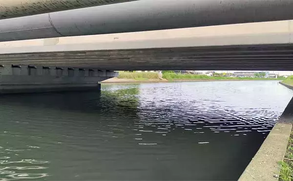 「ハクだらけの小河川でルアーシーバス釣行【千葉】40cm級筆頭にセイゴクラスが入れ食い」の画像