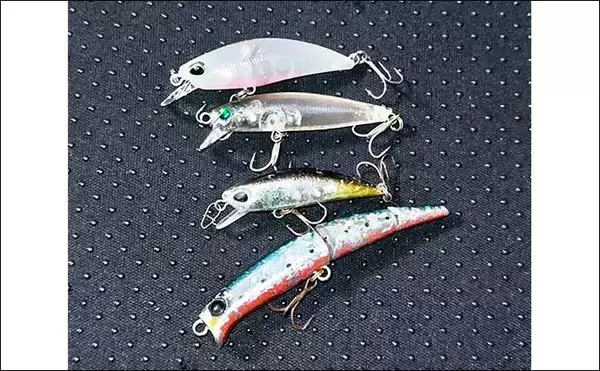 「ハクだらけの小河川でルアーシーバス釣行【千葉】40cm級筆頭にセイゴクラスが入れ食い」の画像