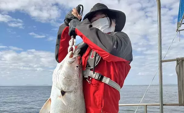 「ヒラメタックルが悲鳴」泳がせ釣りで104cm超オオニベを好捕！【山口・周防灘】
