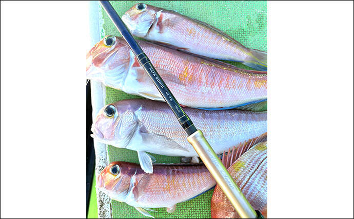 乗船者15名全員がアマダイをキャッチ！【ちがさき丸】相模湾アマダイ釣りが活況