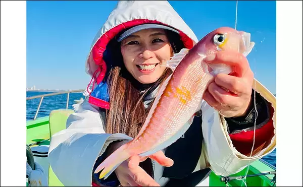 「乗船者15名全員がアマダイをキャッチ！【ちがさき丸】相模湾アマダイ釣りが活況」の画像
