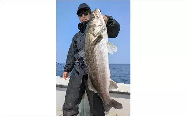 「スロージギング船で高級レア魚『アラ』が船中9匹！【沖釣り釣果速報6選・北陸】」の画像