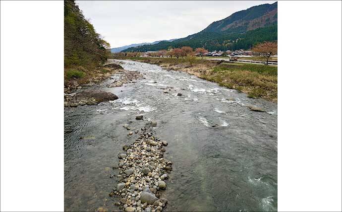 長良川本流の渓流エサ釣りで20cm超えアマゴが連発！【岐阜】40cm級ニジマスもヒット
