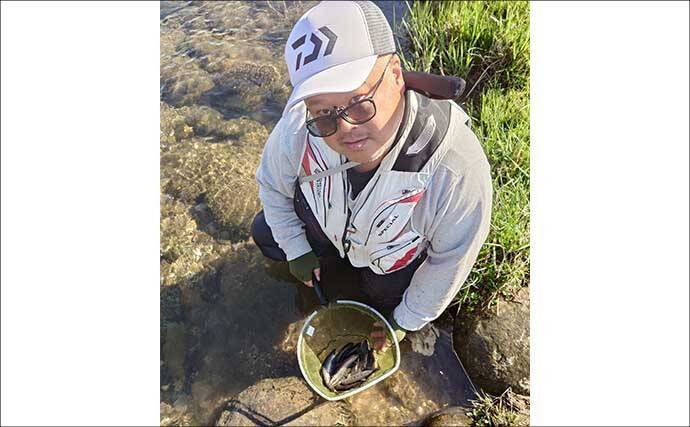 長良川本流の渓流エサ釣りで20cm超えアマゴが連発！【岐阜】40cm級ニジマスもヒット