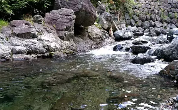 「「やってみると意外と簡単？」渓流餌釣りを楽しむ3つの視点【場所選び・準備・釣り場での工夫】」の画像
