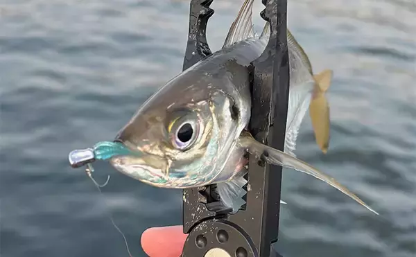 「「あなたが好きなのはどの釣り？」 海の陸っぱり釣りにおける【3大スタイル】」の画像