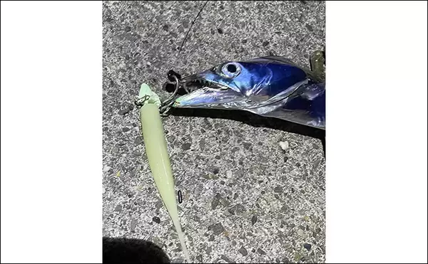 「「あなたが好きなのはどの釣り？」 海の陸っぱり釣りにおける【3大スタイル】」の画像