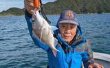 「「50cmマダイ登場で大興奮！」鳥羽沖のタイラバ釣りでワラサ交じりの五目達成【三重】」の画像2