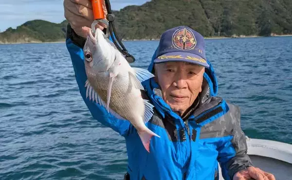 「「50cmマダイ登場で大興奮！」鳥羽沖のタイラバ釣りでワラサ交じりの五目達成【三重】」の画像