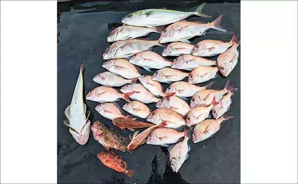 「「50cmマダイ登場で大興奮！」鳥羽沖のタイラバ釣りでワラサ交じりの五目達成【三重】」の画像