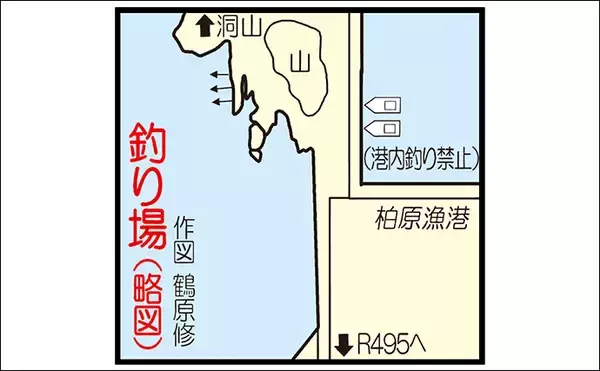 「「夕マズメに25〜27cmが連発 ！」地磯アジングで良型50尾をキャッチ【福岡】」の画像