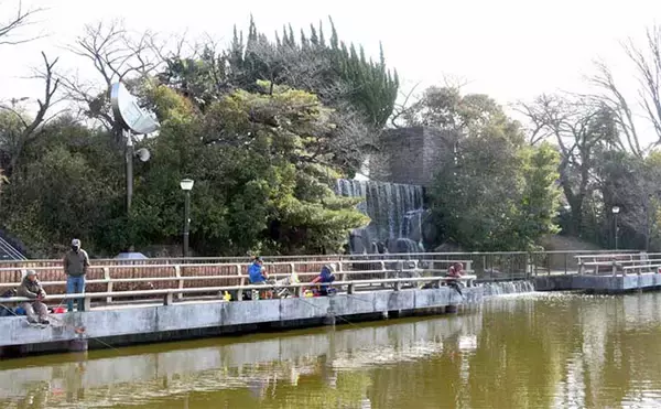 「吉田康雄のザ・チャレンジへらぶな【手ごわい都心のオアシス#2】」の画像