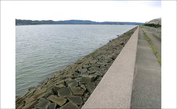 「アタリ多くて初心者にもオススメ！」 電気ウキで狙う波止メバル釣り入門解説