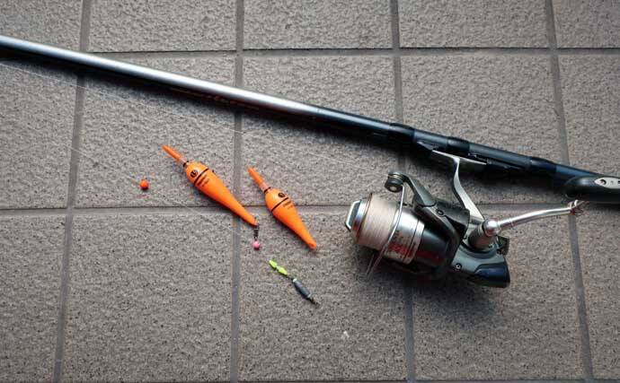 「アタリ多くて初心者にもオススメ！」 電気ウキで狙う波止メバル釣り入門解説