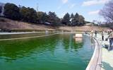 「『多摩湖駅前フィッシングエリア』で気軽な電車釣行　日が落ち始めたら蛍光カラーが◎」の画像4