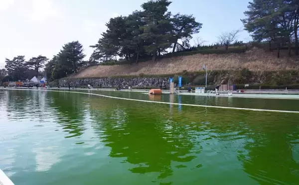 「『多摩湖駅前フィッシングエリア』で気軽な電車釣行　日が落ち始めたら蛍光カラーが◎」の画像