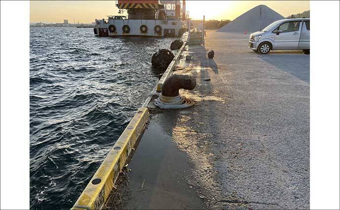 南房エリアで陸っぱりカマス釣り【千葉】サビキとワームにヒットも数は伸びず