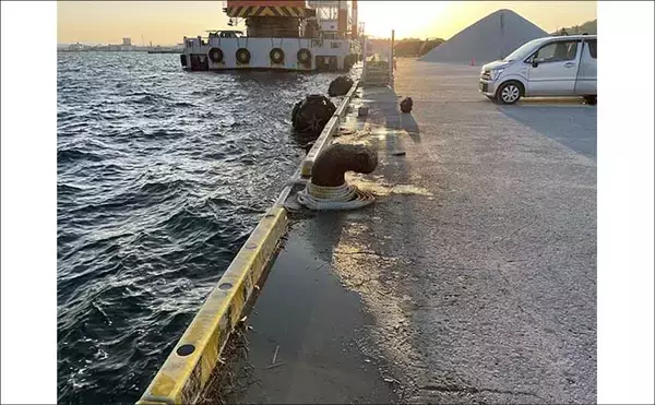 「南房エリアで陸っぱりカマス釣り【千葉】サビキとワームにヒットも数は伸びず」の画像