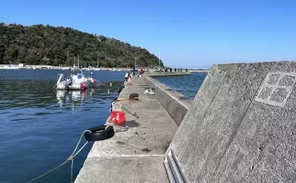 「南房エリアで陸っぱりカマス釣り【千葉】サビキとワームにヒットも数は伸びず」の画像