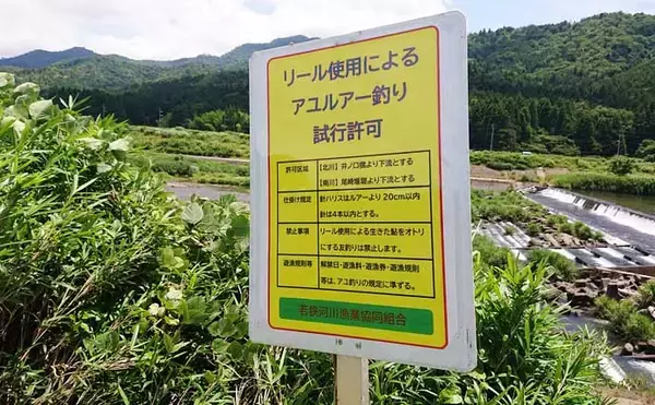 「全国で人気急上昇中！「アユルアー」釣りってどんな釣り？【タックル・釣行装備・釣り方を解説】」の画像
