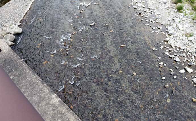 全国で人気急上昇中！「アユルアー」釣りってどんな釣り？【タックル・釣行装備・釣り方を解説】