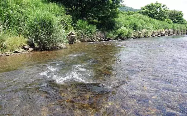 「全国で人気急上昇中！「アユルアー」釣りってどんな釣り？【タックル・釣行装備・釣り方を解説】」の画像
