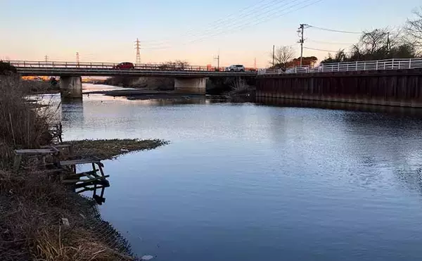「真冬の手賀沼水系でのコイ（鯉）釣りで79cm本命浮上【千葉】 パンエサにヒット」の画像