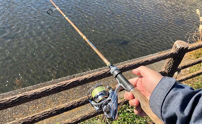 真冬の手賀沼水系でのコイ（鯉）釣りで79cm本命浮上【千葉】 パンエサにヒット