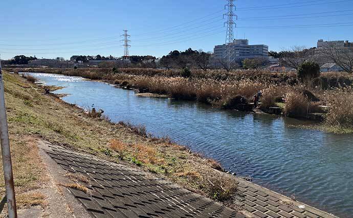 真冬の手賀沼水系でのコイ（鯉）釣りで79cm本命浮上【千葉】 パンエサにヒット