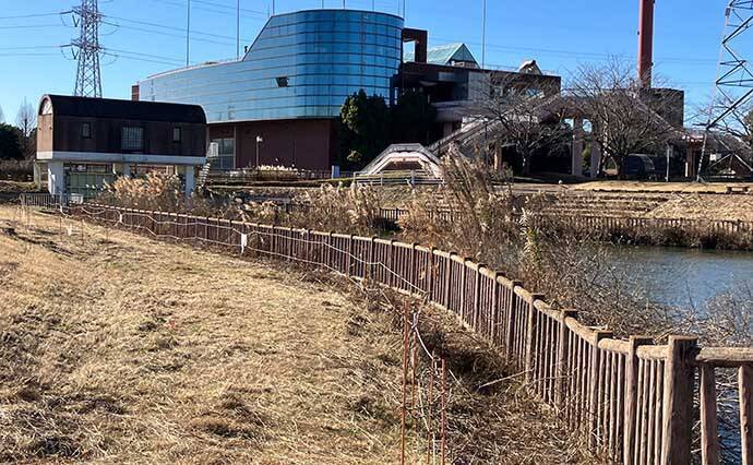 真冬の手賀沼水系でのコイ（鯉）釣りで79cm本命浮上【千葉】 パンエサにヒット