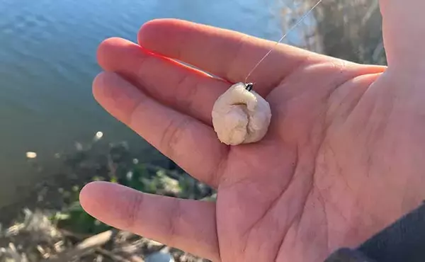 「真冬の手賀沼水系でのコイ（鯉）釣りで79cm本命浮上【千葉】 パンエサにヒット」の画像