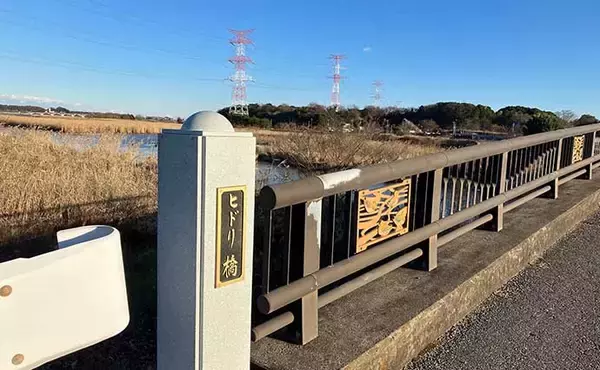 「真冬の手賀沼水系でのコイ（鯉）釣りで79cm本命浮上【千葉】 パンエサにヒット」の画像