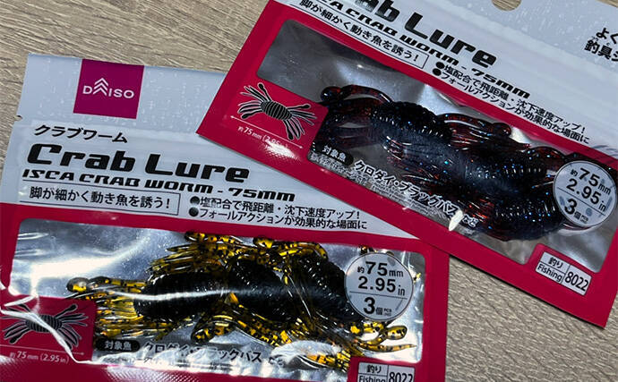 ダイソーの「クラブワーム」で良型マゴチをキャッチ【浜名湖】直リグに即ヒット！