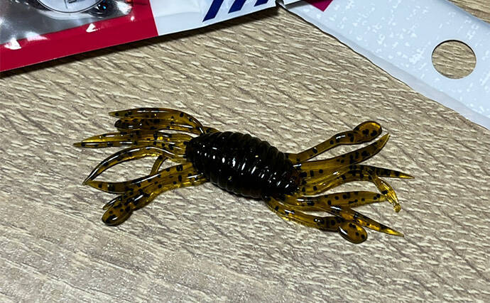 ダイソーの「クラブワーム」で良型マゴチをキャッチ【浜名湖】直リグに即ヒット！