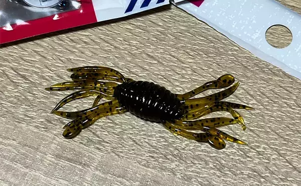 「ダイソーの「クラブワーム」で良型マゴチをキャッチ【浜名湖】直リグに即ヒット！」の画像