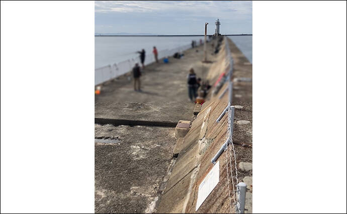 「サゴシ回遊は終盤戦か」大阪南港魚つり園でのショアジギ釣行でなんとかサゴシ1本