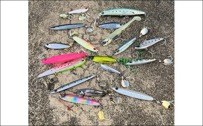 「サゴシ回遊は終盤戦か」大阪南港魚つり園でのショアジギ釣行でなんとかサゴシ1本