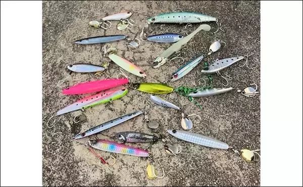 「「サゴシ回遊は終盤戦か」大阪南港魚つり園でのショアジギ釣行でなんとかサゴシ1本」の画像