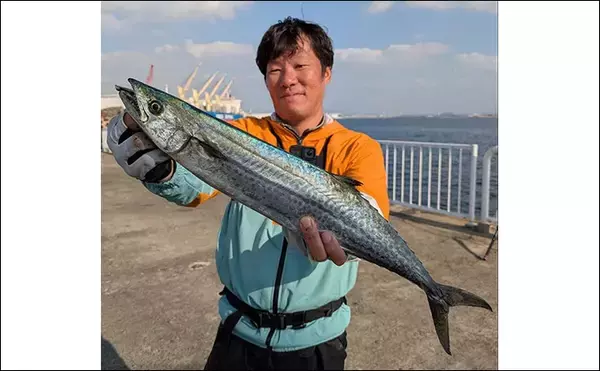「「サゴシ回遊は終盤戦か」大阪南港魚つり園でのショアジギ釣行でなんとかサゴシ1本」の画像