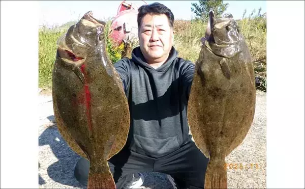 「【沖釣り釣果速報】伊良湖沖の泳がせ釣りで57cm頭にヒラメ6匹手中！冬の高級魚が開幕好調（愛知）」の画像