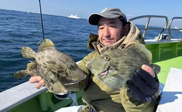 「【沖釣り釣果速報】伊良湖沖の泳がせ釣りで57cm頭にヒラメ6匹手中！冬の高級魚が開幕好調（愛知）」の画像
