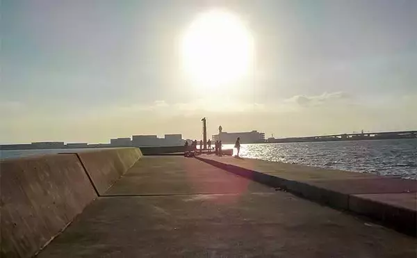 「常滑港のウキダンゴ釣りでクロダイ・キビレが連発！【愛知】38cm筆頭にゲスト交えて39匹」の画像