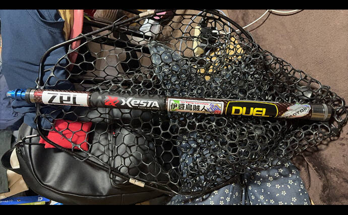 2026年の伊豆エリアの春アオリイカ【 X DAY 】を予測　磯の回遊狙いエギングが吉か