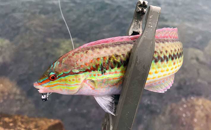 「海釣りやってみたいけどちょっと怖くて・・」 初心者が感じがちな不安4選